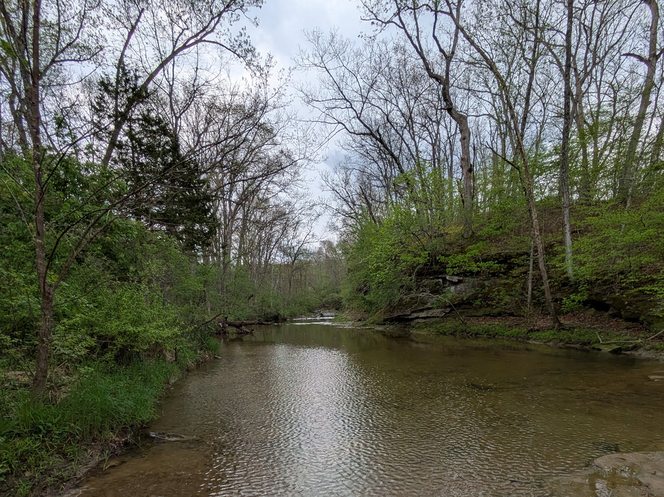 A quiet Missouri stream